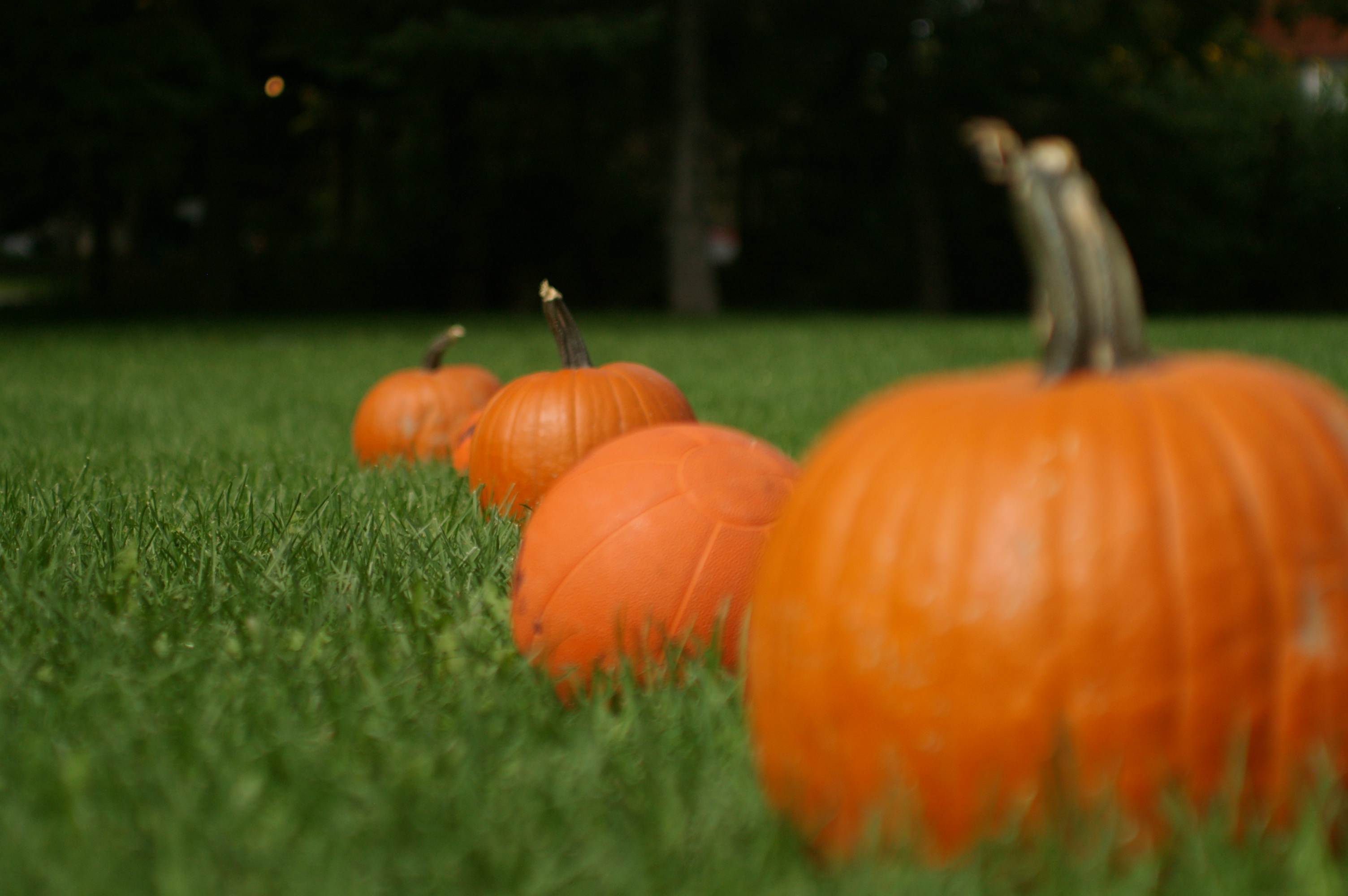 Harvest Circuit for YSB