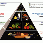 Nutrition and Food Pyramid From USDA