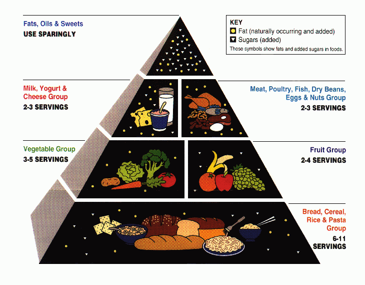 Nutrition and Food Pyramid From USDA