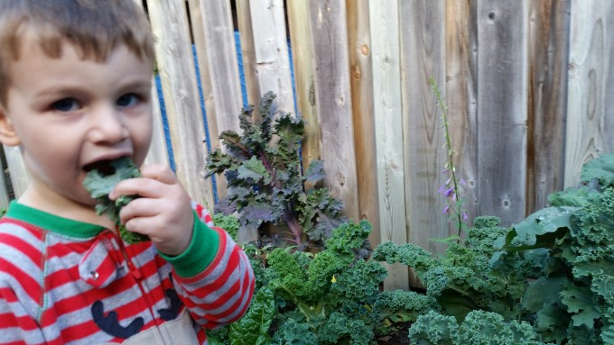 3 Year Old Eat's Kale